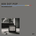 808 DOT POP - Incandescent (tantalum) / Limited Edition