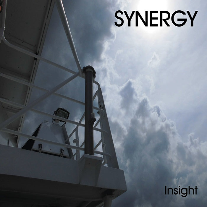 Synergy - Insight
