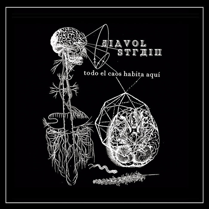 Diavol Strain - All Chaos Resides Here