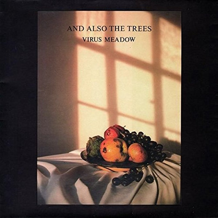 And Also The Trees - Virus Meadow / ReRelease
