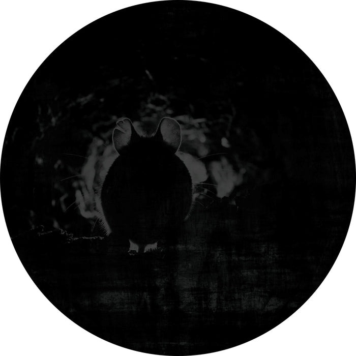 Calva Y Nada - El Peste Perverso Lleva Mi Peluca / Limited Picture Disc