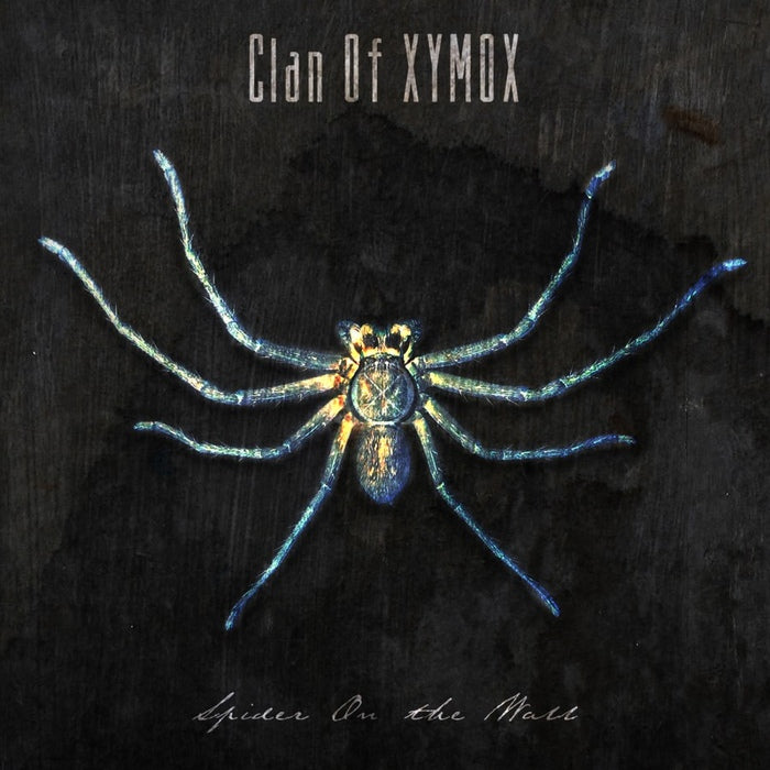Clan Of Xymox - Spider On The Wall / US Edition