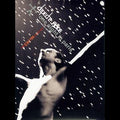 Depeche Mode - One Night In Paris