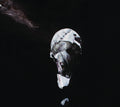 European Ghost - Pale And Sick / 2020 Edition