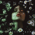 genCAB - Signature Flaws