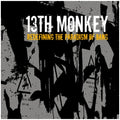 13th Monkey - Redefining the Paradigm of Bang
