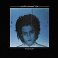 Harsh Symmetry - Imitation