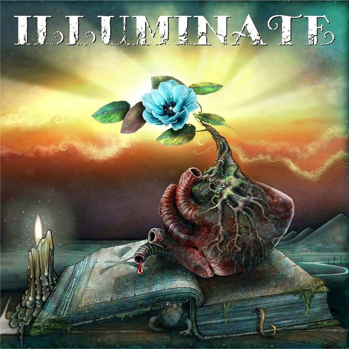 Illuminate - A Whole Life / Limited Art Print Edition