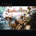 ISH - Resonance Level