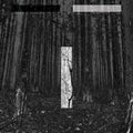 Chris Liebing - Another Day / Limited Black (previously Transparent) Edition