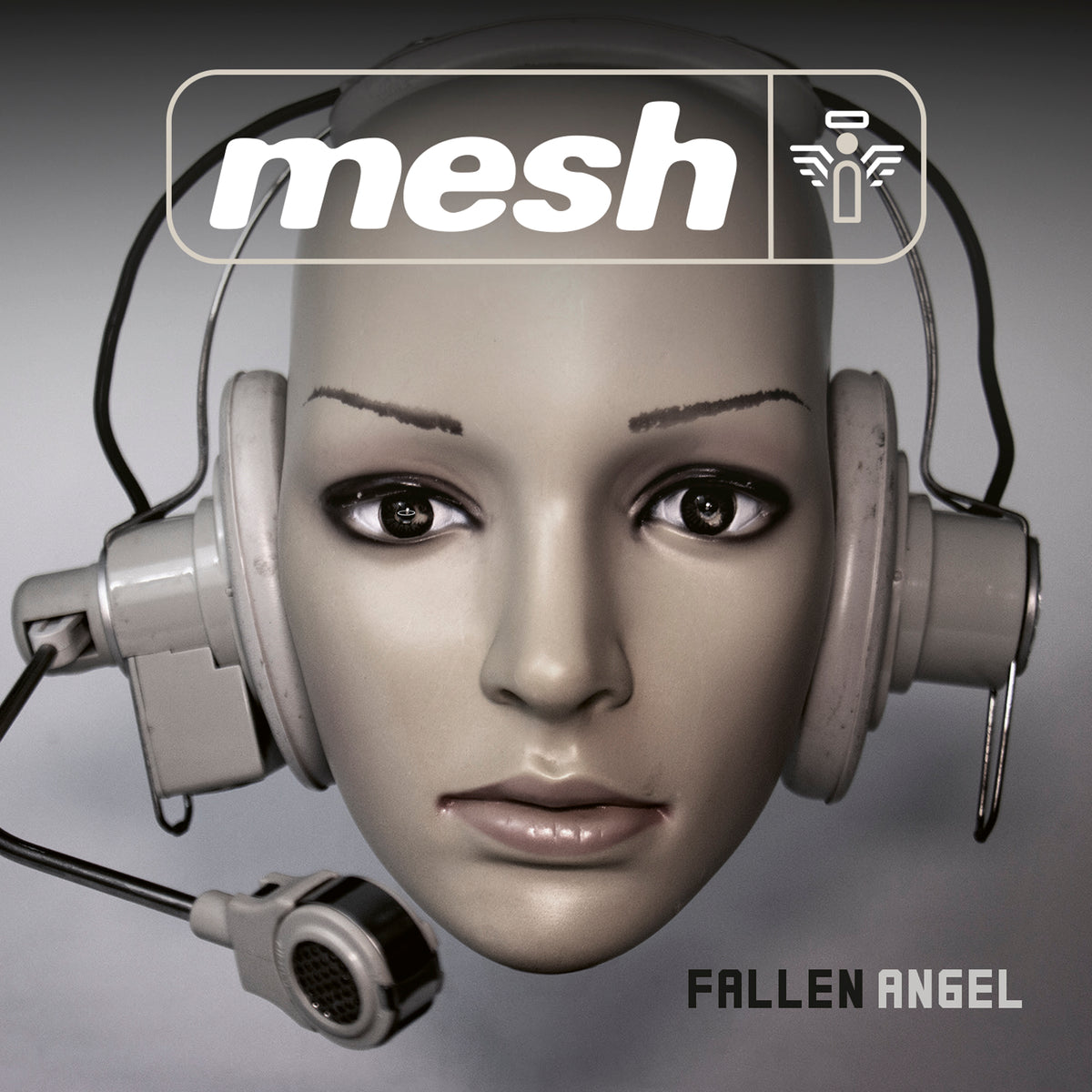 Mesh - Fallen Angel