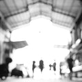 Morphose - The Open Shutter