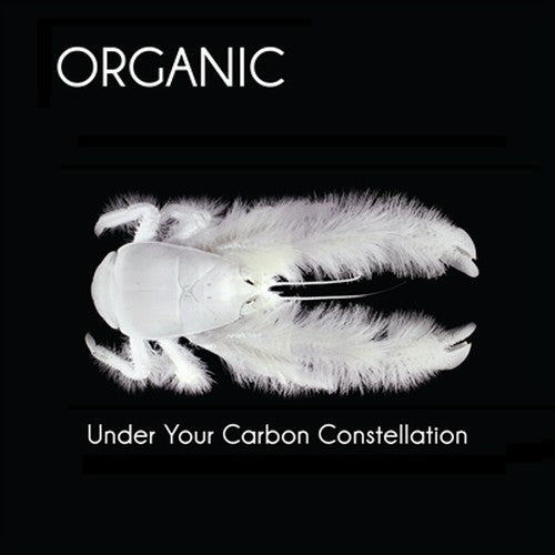 Organic - Under Your Carbon Constellation