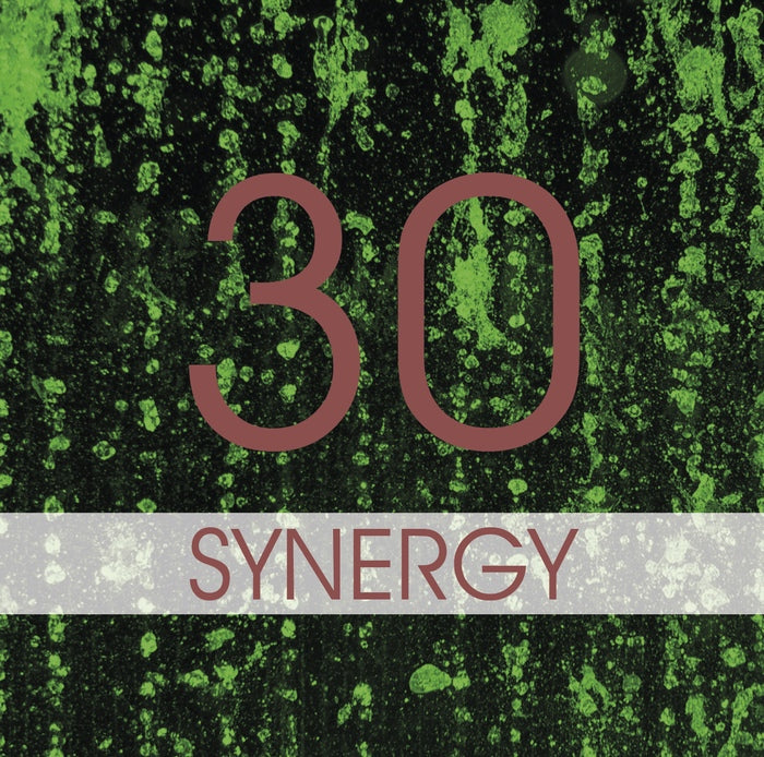 Synergy - Travel