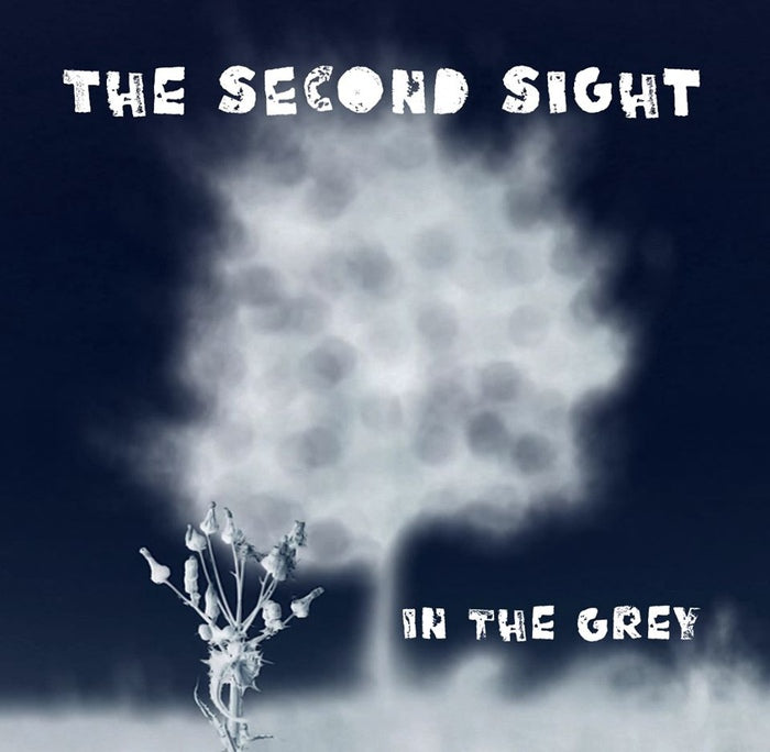 The Second Sight - In The Grey